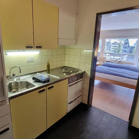 Haus Matten, Findeln Lejlighed