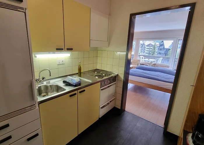 Haus Matten, Findeln * 采尔马特